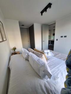 Pedro de Valdivia 1BR 1BA Cozy ideal for 3 - Santiago - 2