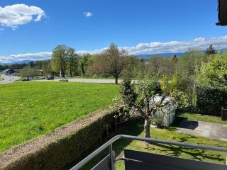 Murten Moments - Murten - 5