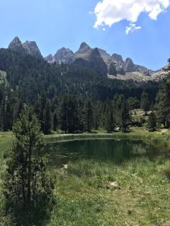 Benasque Valley Apartment - Bisaurri - 9