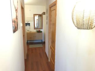Benasque Valley Apartment - Bisaurri - 3