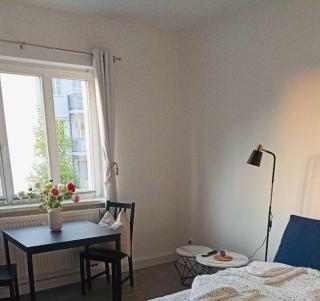 Gemütliche, ruhige Wohnung in direkter Uninähe - Chemnitz - 6