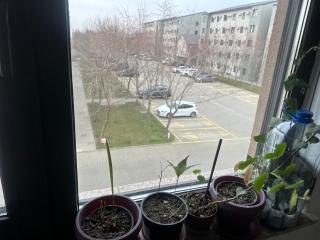 Louisa Apartament - Constanza - 7