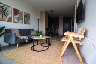 Araucano Park Luxe Pool and Gym 1BR Exec Suite - Santiago - 9