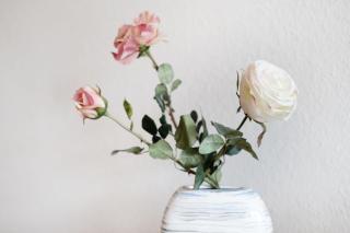 Belvedere Strandrose - 4