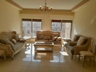 Cosy family apartment in Amman - Amman - 2