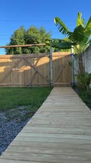 André Duarte Leal - 3