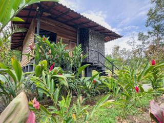 Green Forest Villa - Fortuna - 3