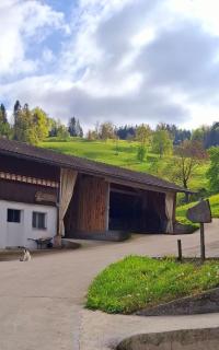 Barn-Nature Höllhof Adventure with panoramic view outdoor -near Lucerne - Luzern - 8