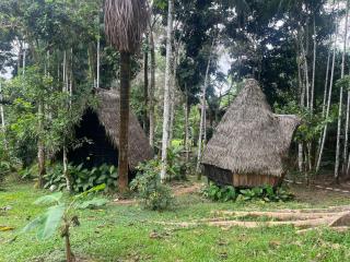 Jungle Cabin - Satori Natural - 0