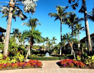 Naples Bay Resort Condo with Fabulous Amenities, near Beach & Downtown! - Naples - 7