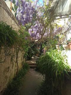 Casetta Glicine - Ischia - 4