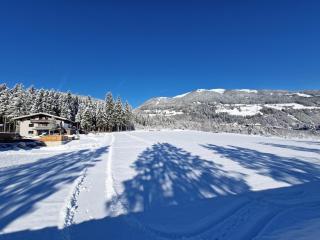 Moser - Neukirchen am Großvenediger - 4