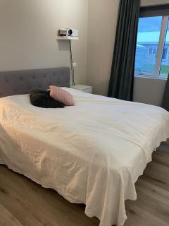 House in Selfoss - Selfoss - 6