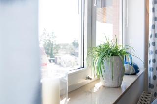 Haus Meeresgruß Sunshine - Grömitz - 5