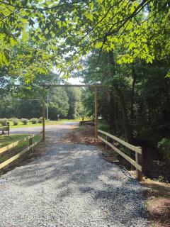 Shady Pine Cabin - Benton - 8