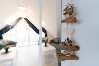 Seepferdchen Kiekut - 5