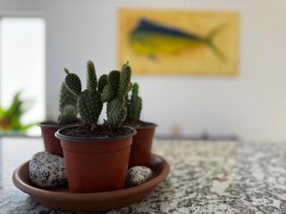 Cozy full condo with pool and close to the beach - Cabo San Lucas - 9