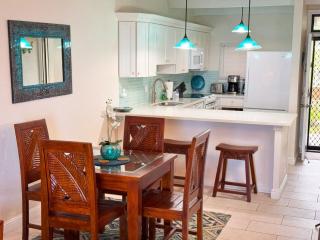 Oceanfront Luxury Condo - 2