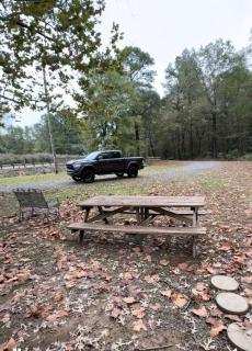 Shady Pine Cabin - Benton - 6