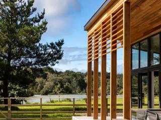 Silver Birch - Winkleigh - 9