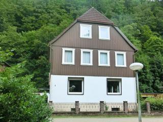 1-bedroom holiday home - Walkenried - 7