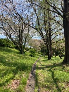 A Beautiful Large Japanese Home with Tatami room - 7