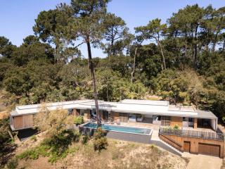 Villa de Luxe Contemporaine à Hossegor - FR-1-791-39 - Soorts-Hossegor - 9