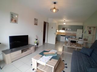 Appartement charmant proche plage avec terrasse et parking - FR-1-239-1119 - Labenne - 0