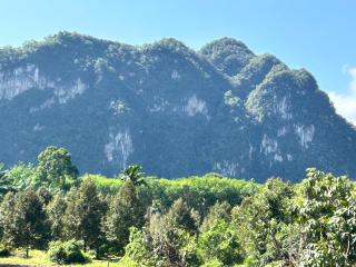 Khaosok Secret Hostel - Khao Sok - 9