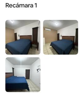Departamento del tigre - Cedro - 2