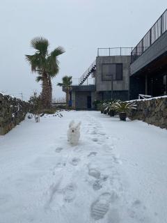 Jeju 2F detached luxury private townhouse open healing view, terrace bbq - Kuŏng-ni - 8