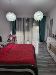 Vila cu piscina Dobroesti - Dobroeşti - 7