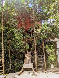 Ella Jungle Inn Homestay And Tree House - Ella - 5