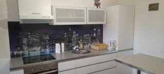 Holiday house Green hill in Zagorje - - 7