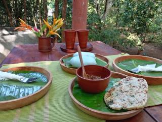 Dambulla Tree House - Dambulla - 7