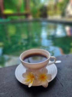 The Green Harmony Villa Homestay - Sanur - 9