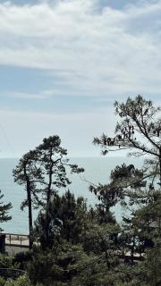 Panorama Kobuleti Apartament - Kobuleti - 8