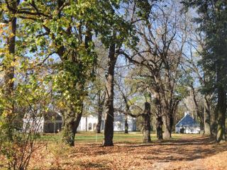 Zamość Dwór Udrycze - 1