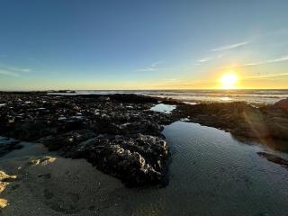4300 sq ft Bay Escape, Near Beach, Golf and Trails - Half Moon Bay - 7