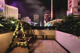 Shenzhen Hongfeng Hotel (Luohu Branch) - Shenzhen - 8
