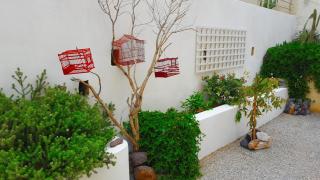 Kamarela Studios - Kamari - 3