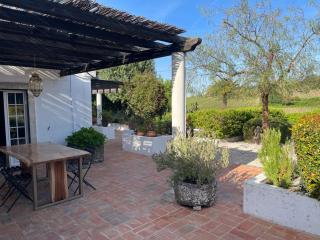 Villa das Vinhas - Aldeia Galega da Merceana - 4