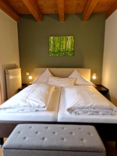 Adler Landhotel - Buergstadt - 7