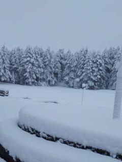Kaludjerovic - Cetinje (Cettigne) - 0