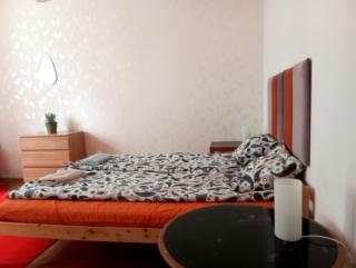 Garden Apartment - Praag - 8