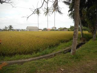 Goddess Resort Ubud - Ubud - 2