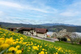 Frühstückspension Götzfried-Hof - Millstatt am See - 8