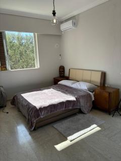 Vila with amazing view near the beach - Vathí - 5