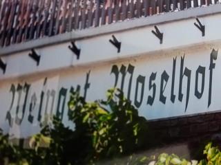 Moselhof - Burg - 5