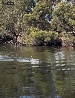 Amazing River House - North Yunderup - 9